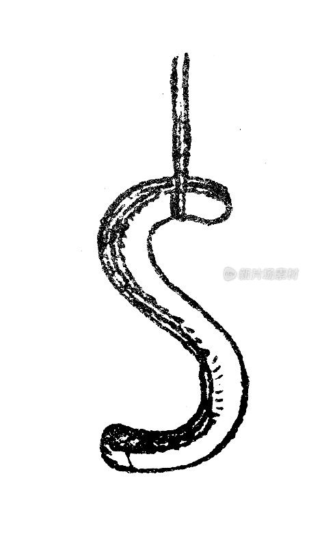 古玩雕刻插画:S Hook